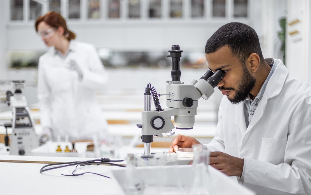 Bbio- man looking in microscope